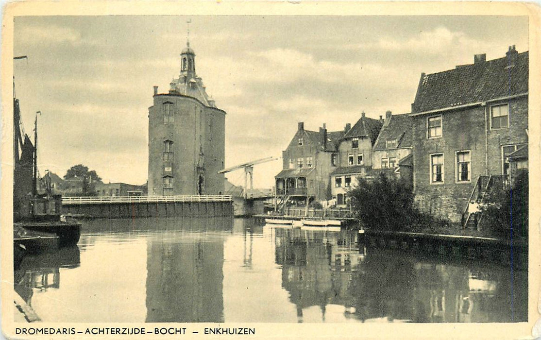 Enkhuizen Dromedaris