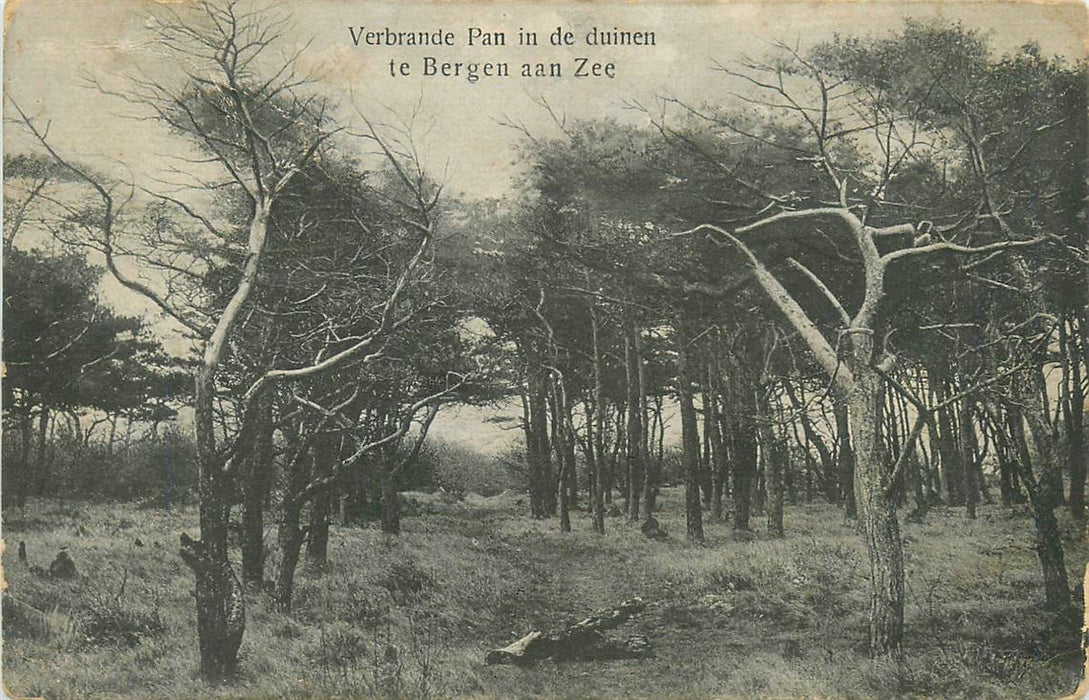 Bergen aan Zee Verbrande Pan