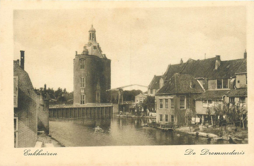 Enkhuizen Dromedaris