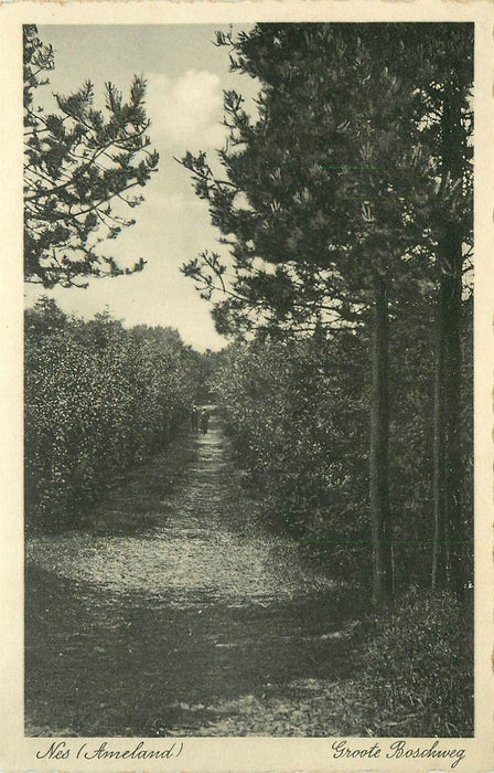 Nes Ameland Groote Boschweg
