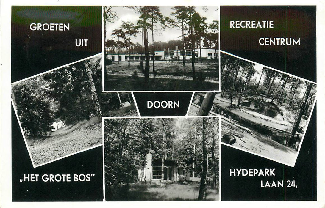 Doorn Het Grote Bos