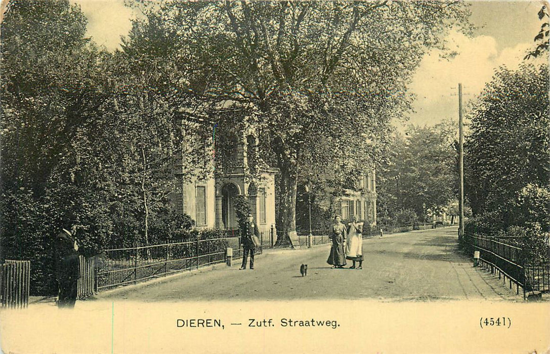 Dieren  Zutphensche Straatweg