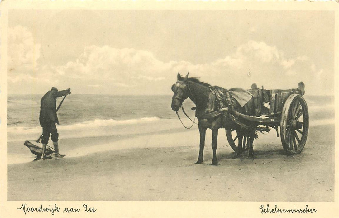 Noordwijk aan Zee Schelpenvisscher