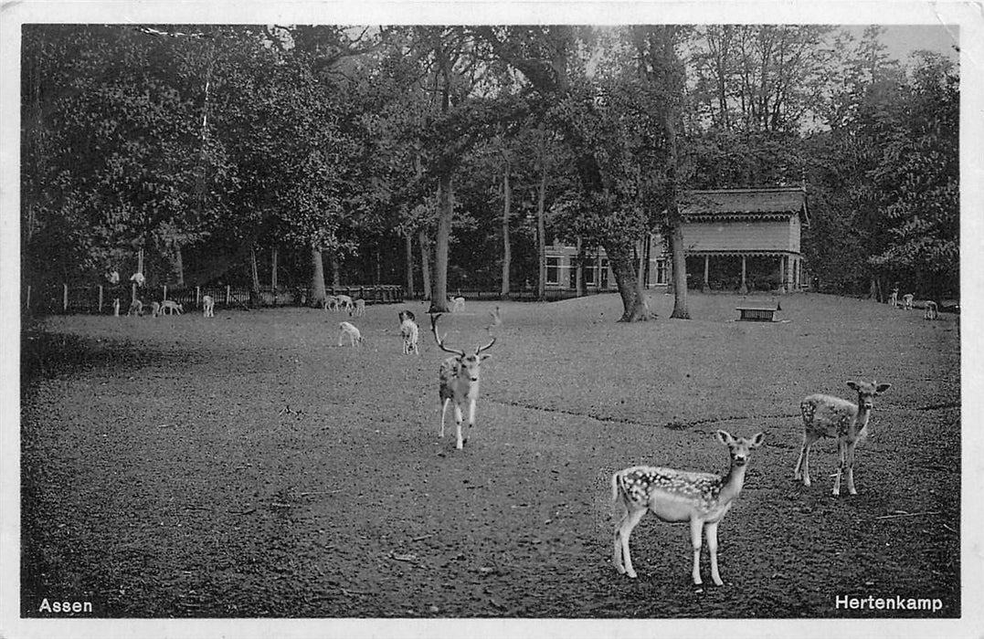 Assen Hertenkamp