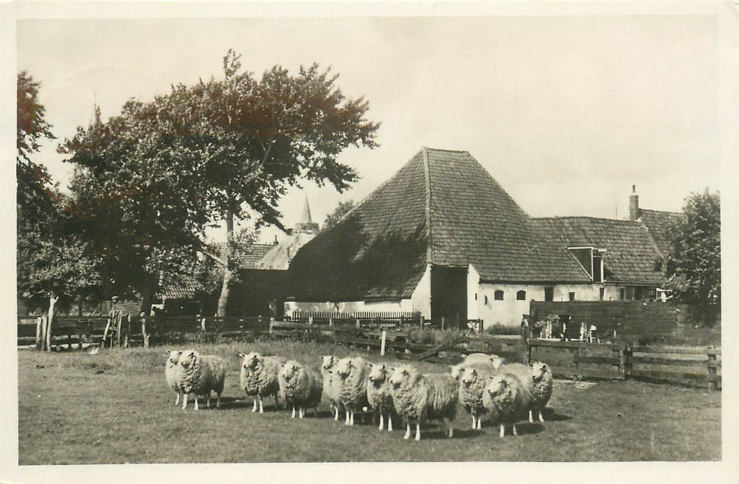 Texel
