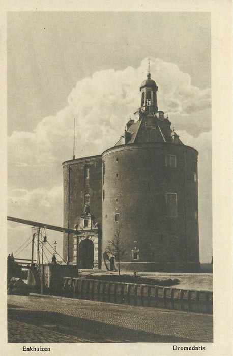 Enkhuizen Dromedaris