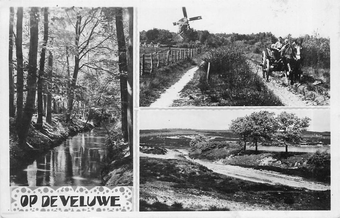 Veluwe