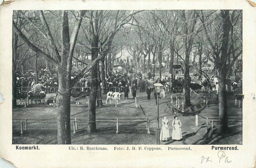 Purmerend Koemarkt