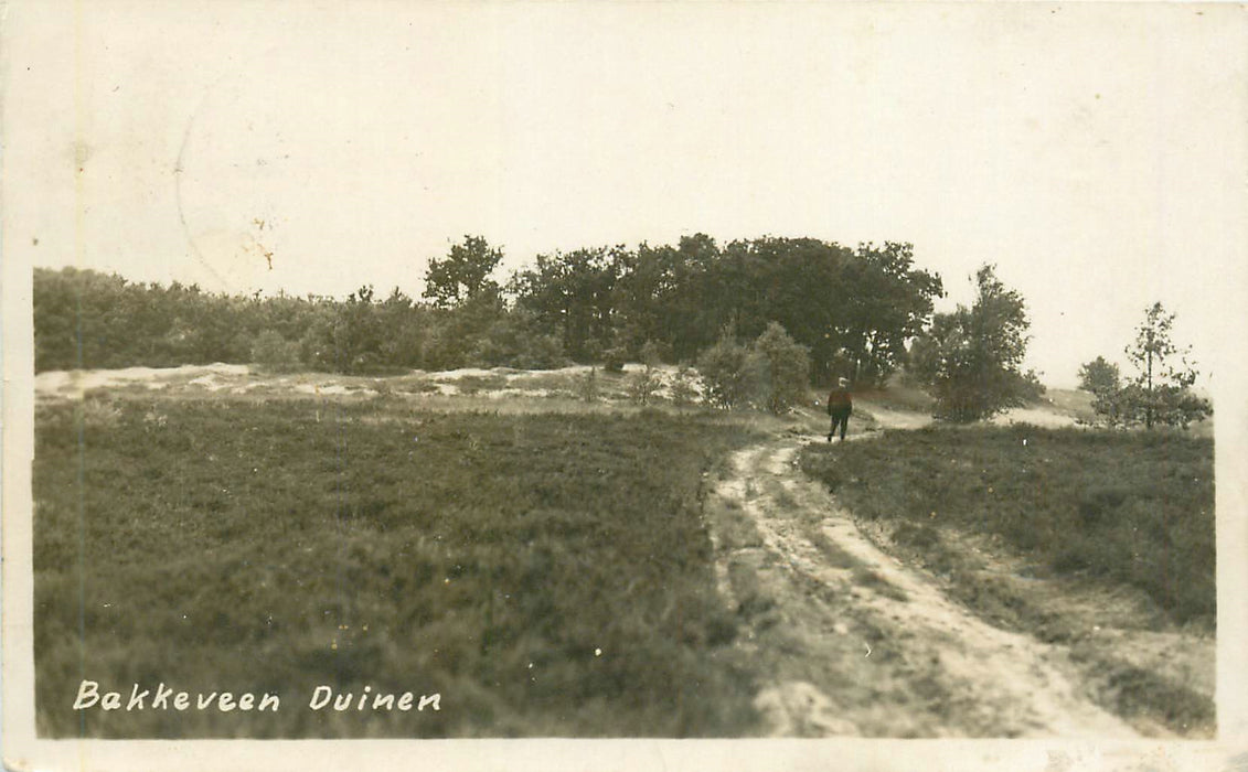 Bakkeveen Duinen