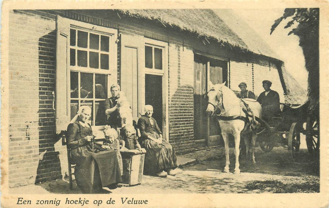 Veluwe Een Zonnig Hoekje