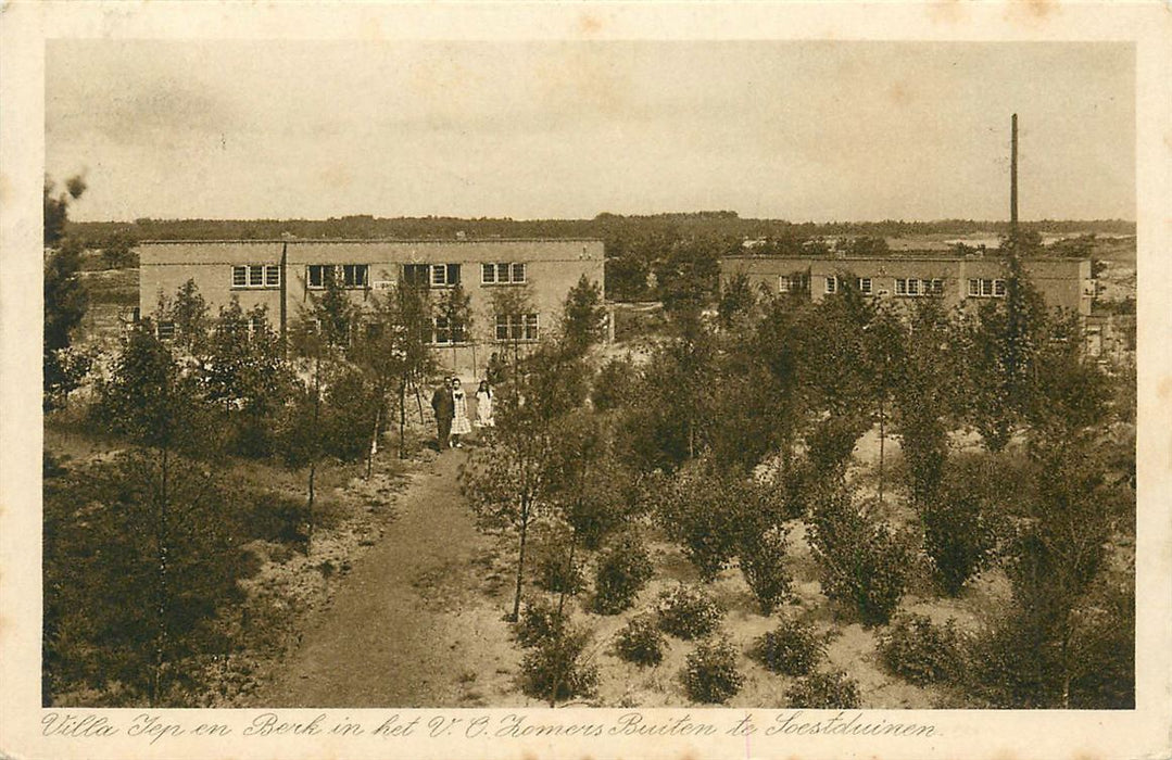 Soest Soestduinen Iep en Berk