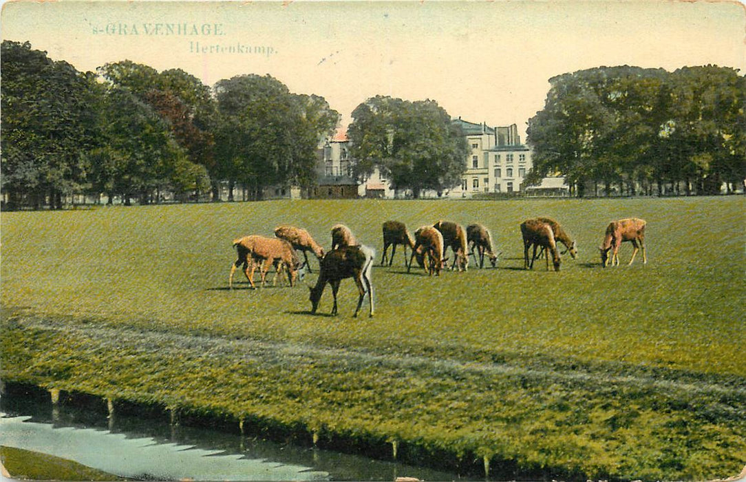 Den Haag Hertenkamp