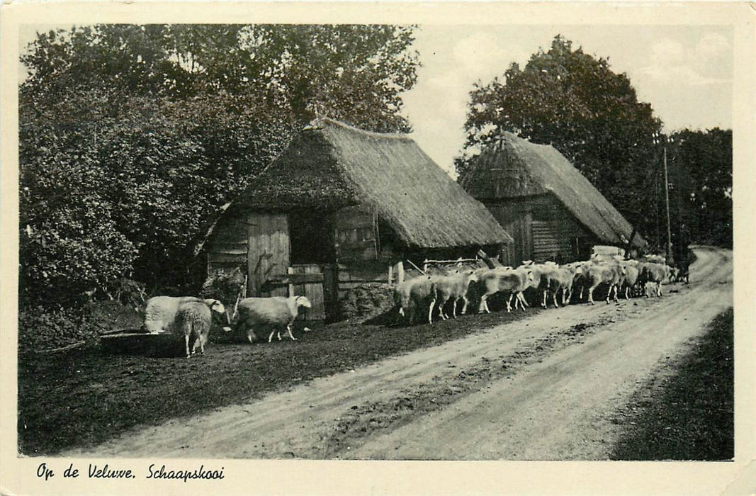 Veluwe Schaapskooi