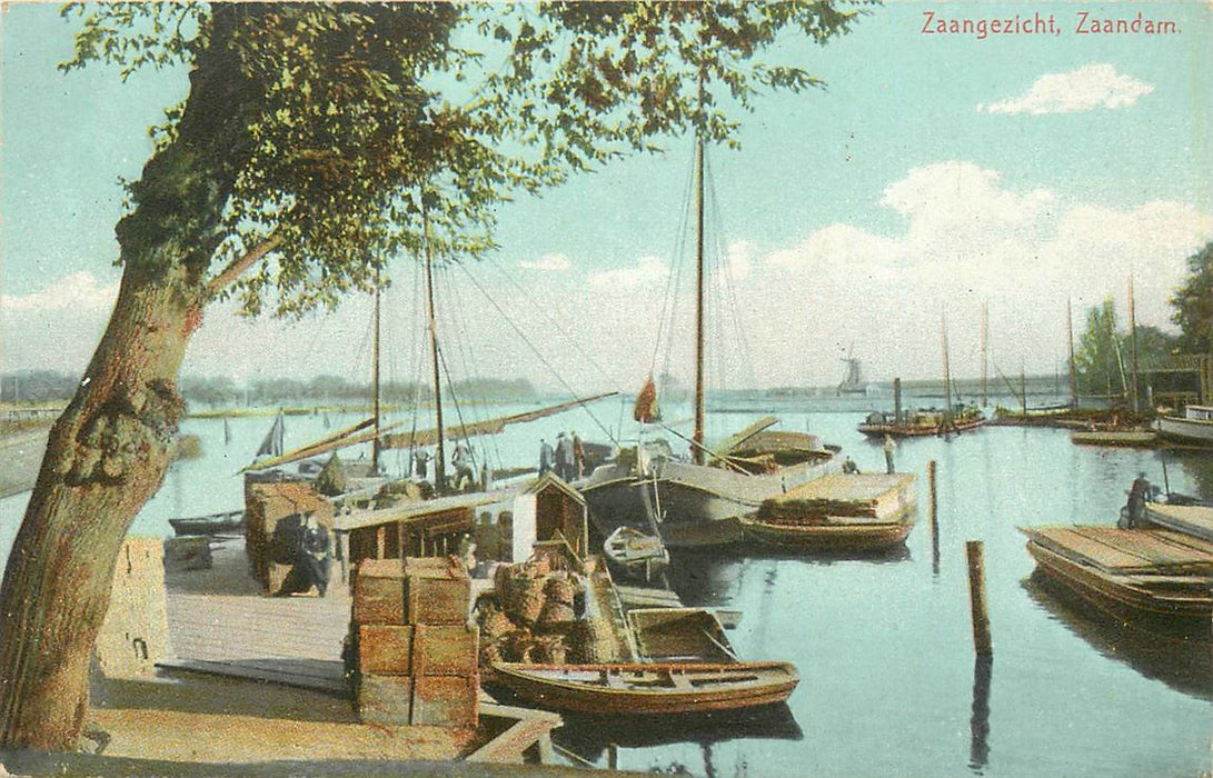 Zaandam Zaangezicht