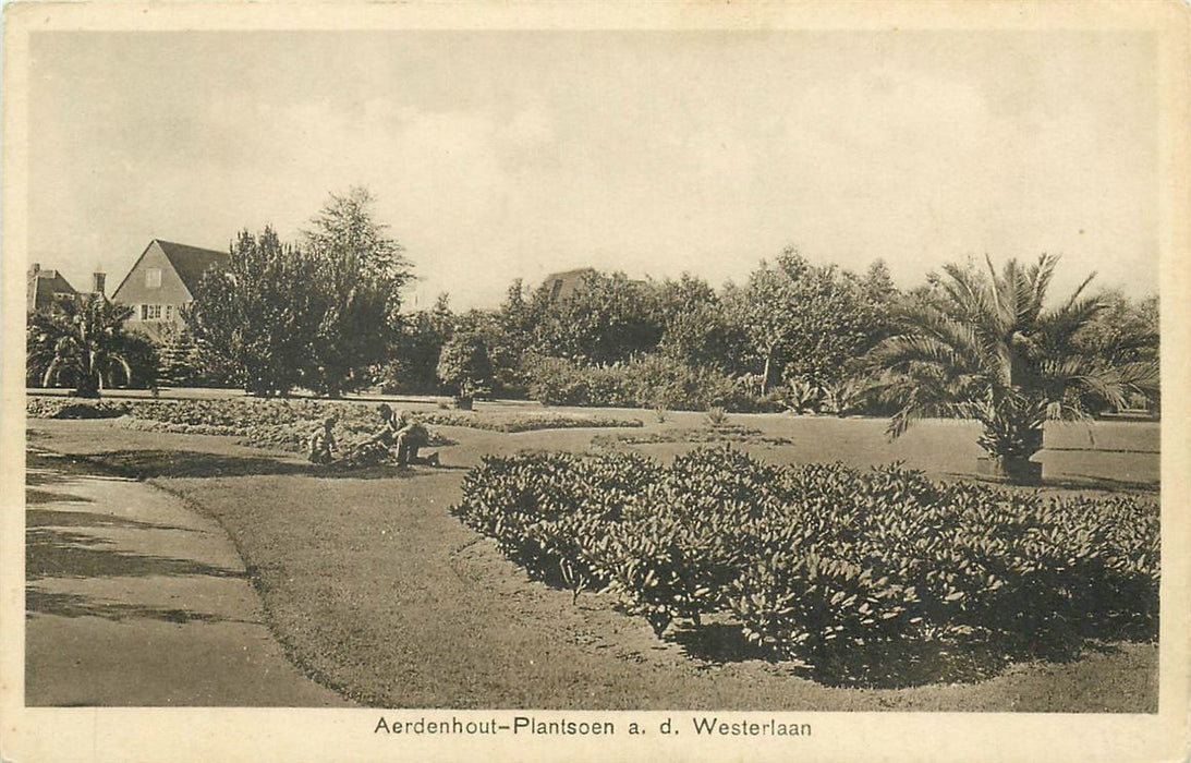 Aerdenhout Plantsoen Westerlaan