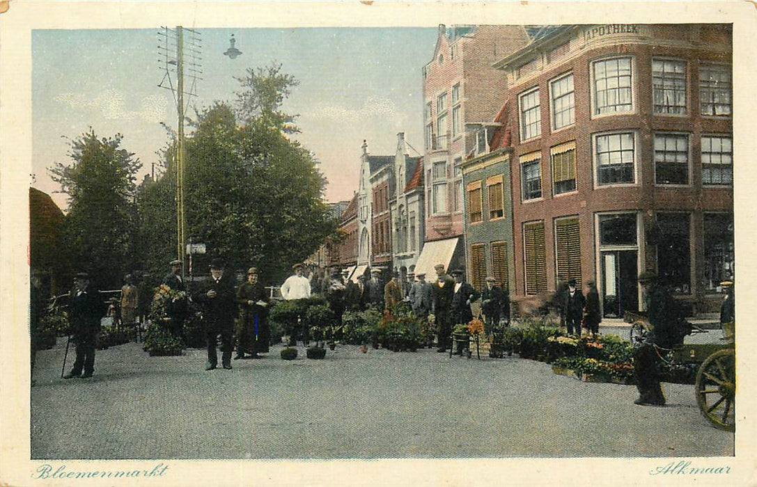 Alkmaar Bloemenmarkt