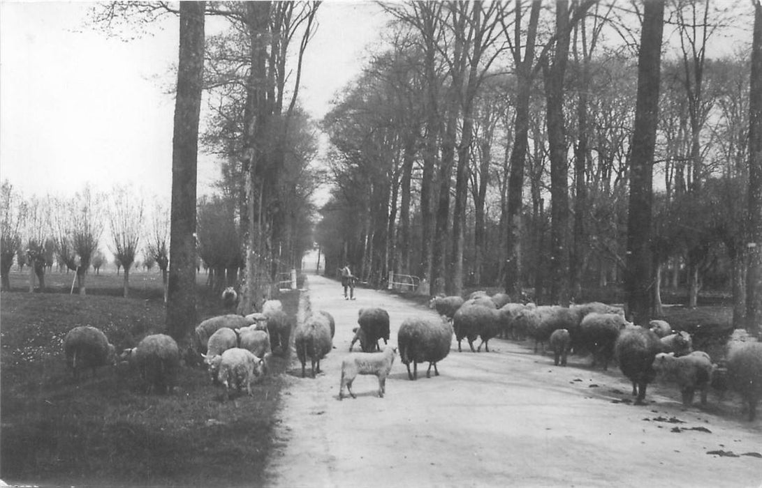 Dordrecht Straatweg