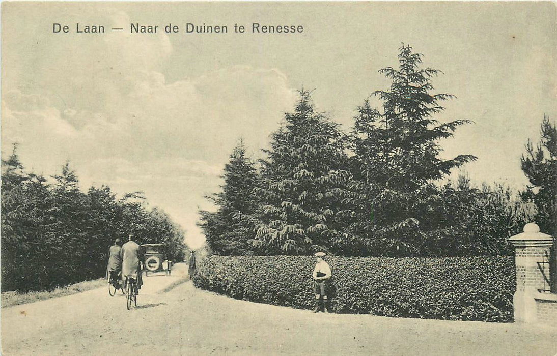 Renesse De Laan naar de Duinen