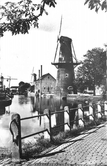 Schiedam Walvismolen