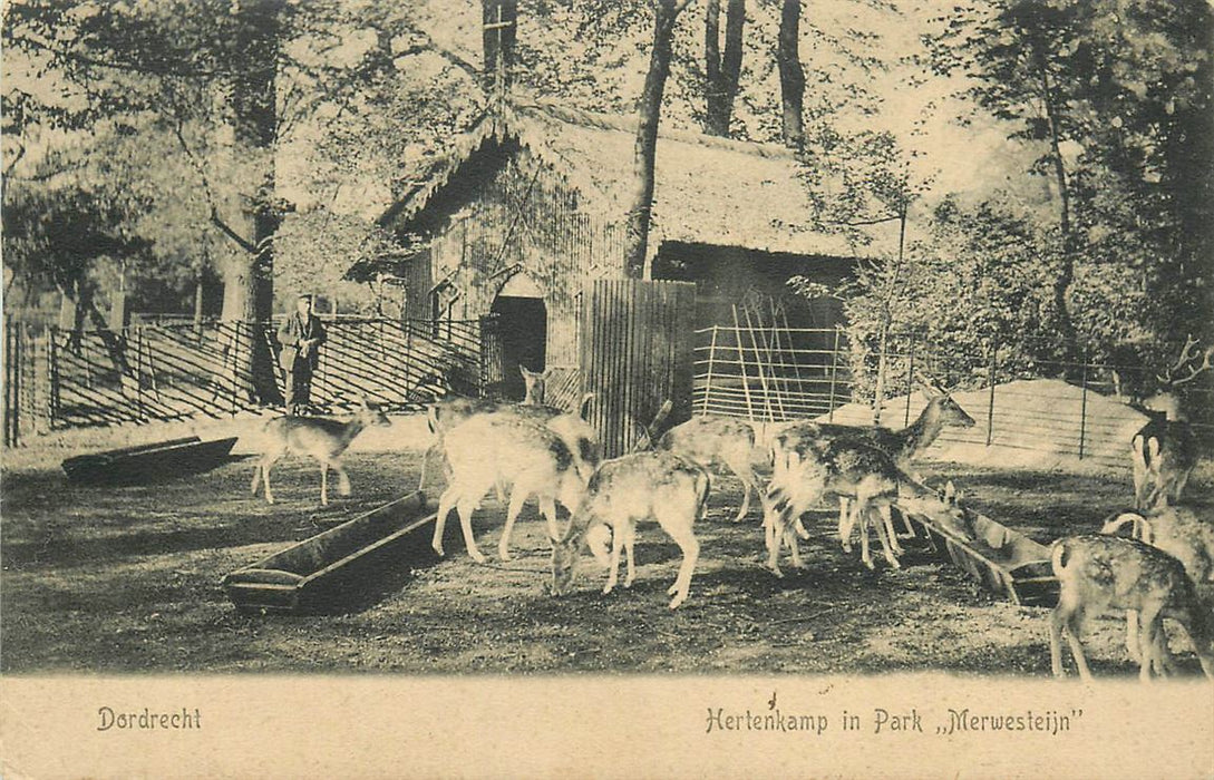 Dordrecht Park Merwesteijn