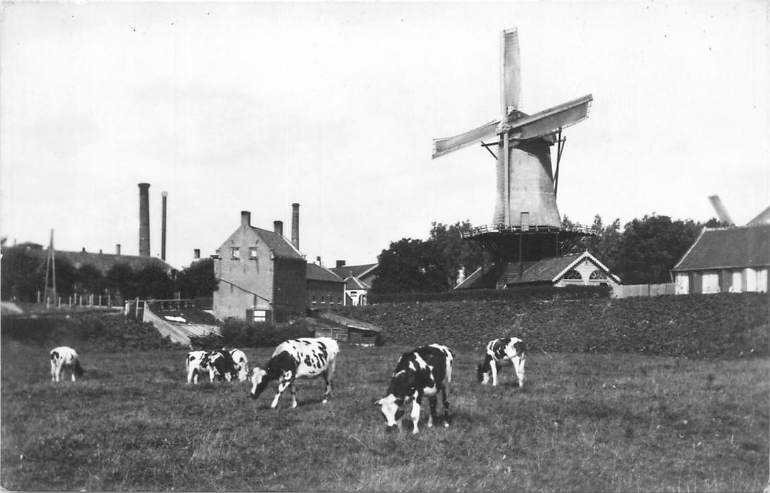 Dordrecht Molen De Vlasbloem