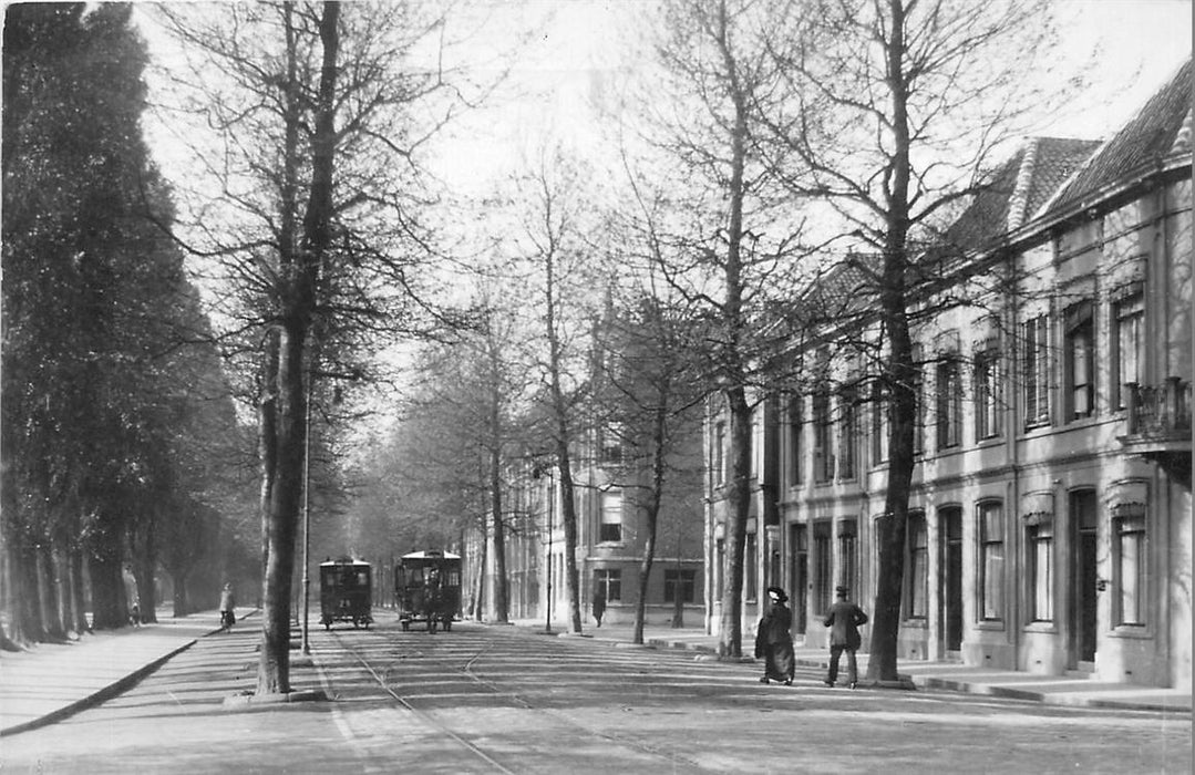 Dordrecht Joh de Wittstraat 1910