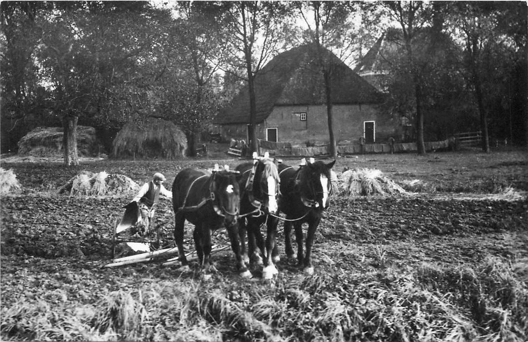 Dordrecht Hofstede Zuidhoven