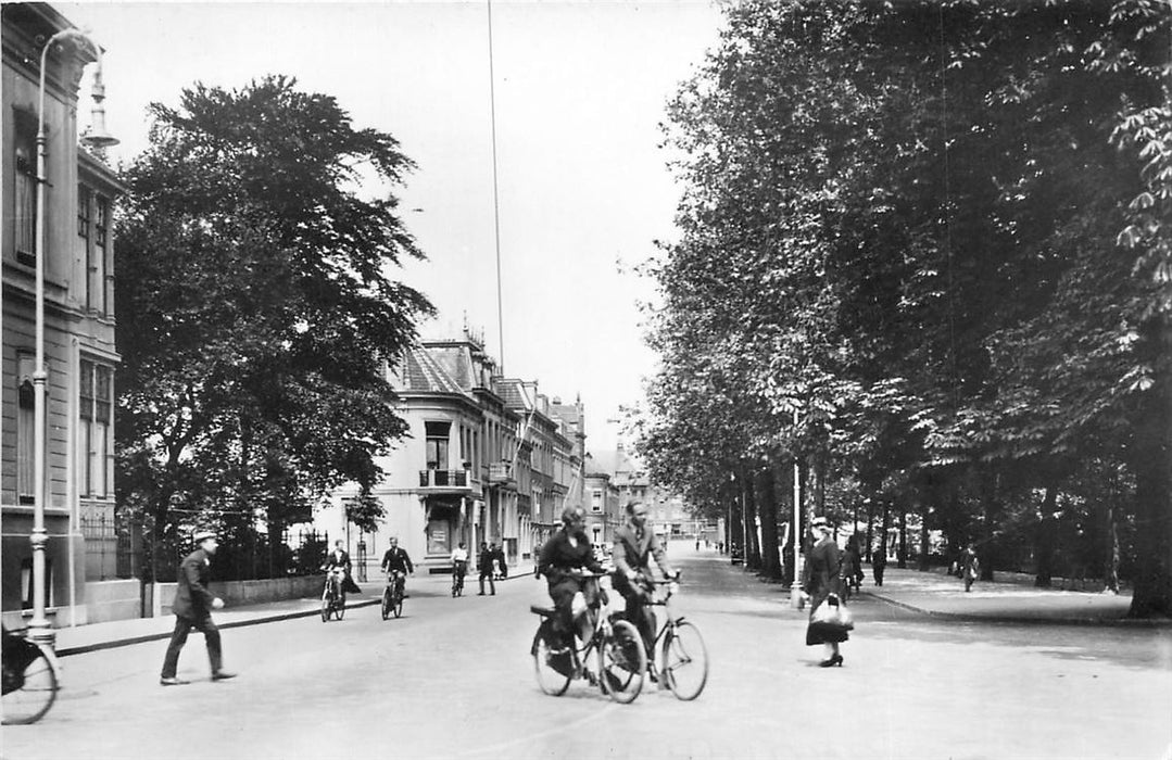 Dordrecht Johan de Wittstraat