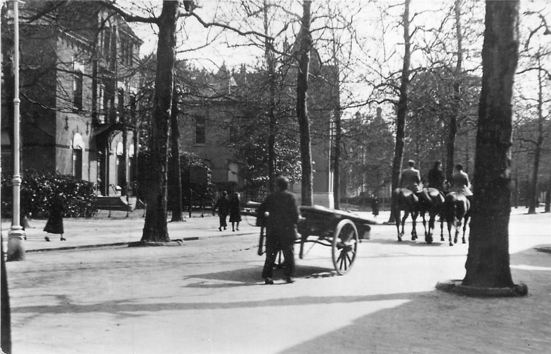 Dordrecht Johan de Wittstraat