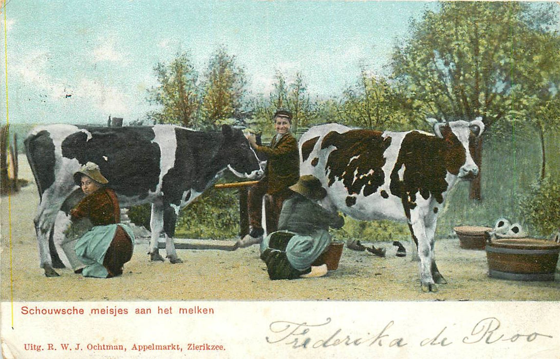 Zeeland Schouwsche Meisjes aan het Melken