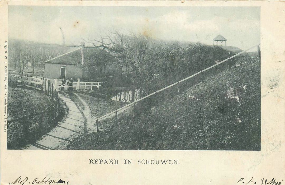 Zeeland Repard in Schouwen