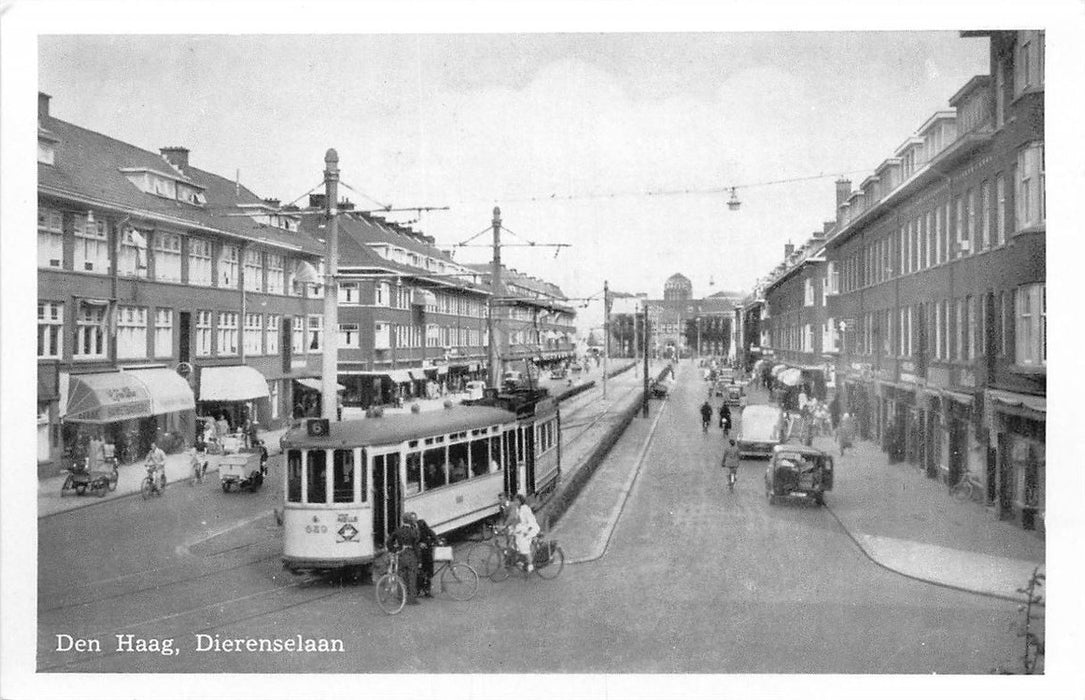 Den Haag Dierenselaan