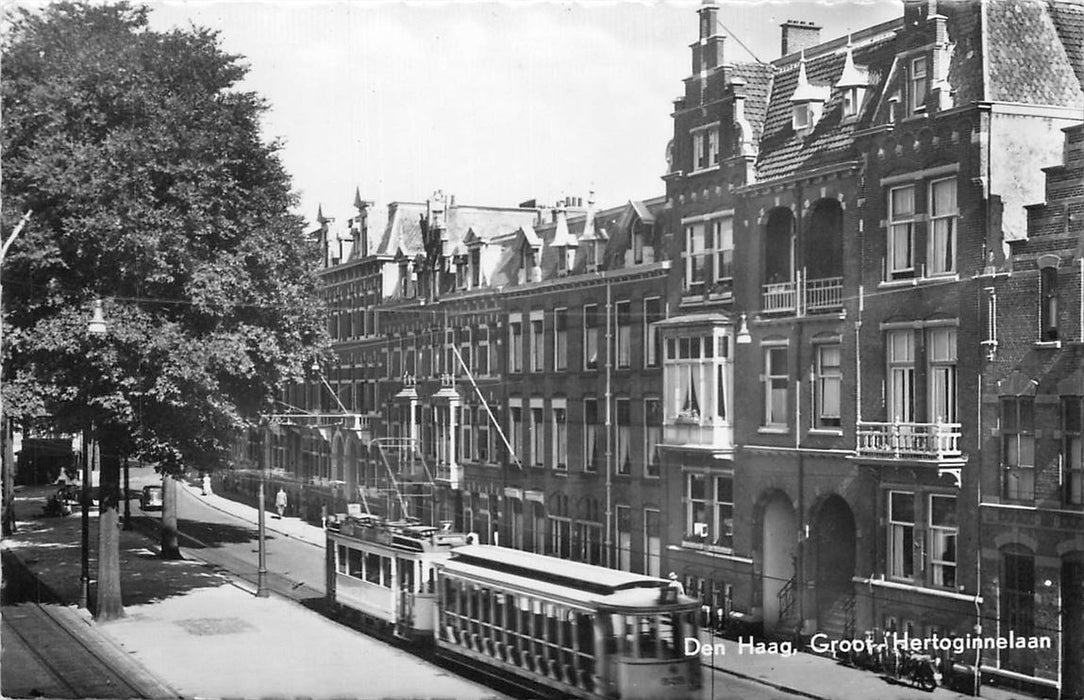 Den Haag Groot-Hertoginnelaan