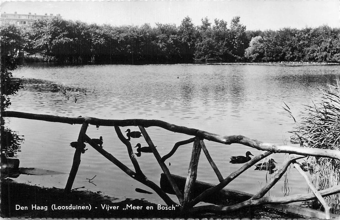 Den Haag Loosduinen Meer en Bosch