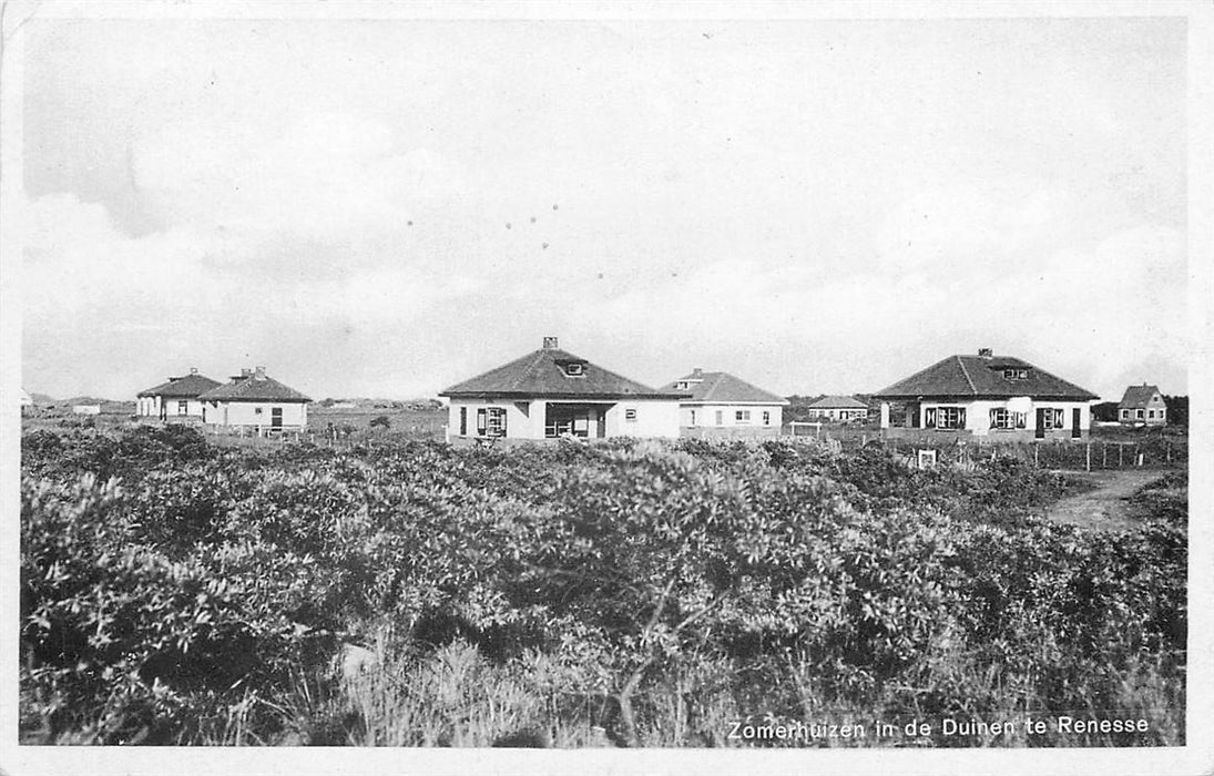 Renesse Zomerhuizen in de Duinen