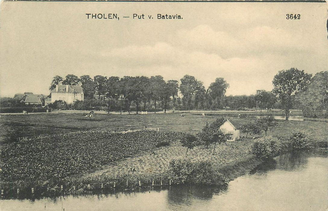 Tholen Put van Batavia