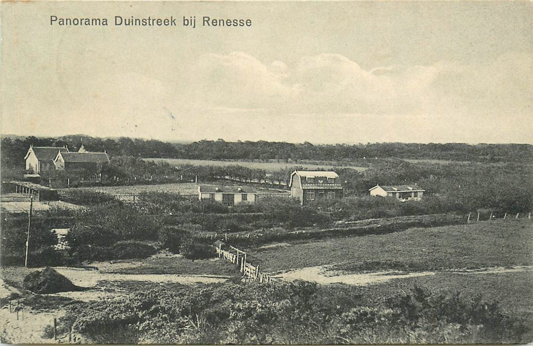 Renesse Duinstreek