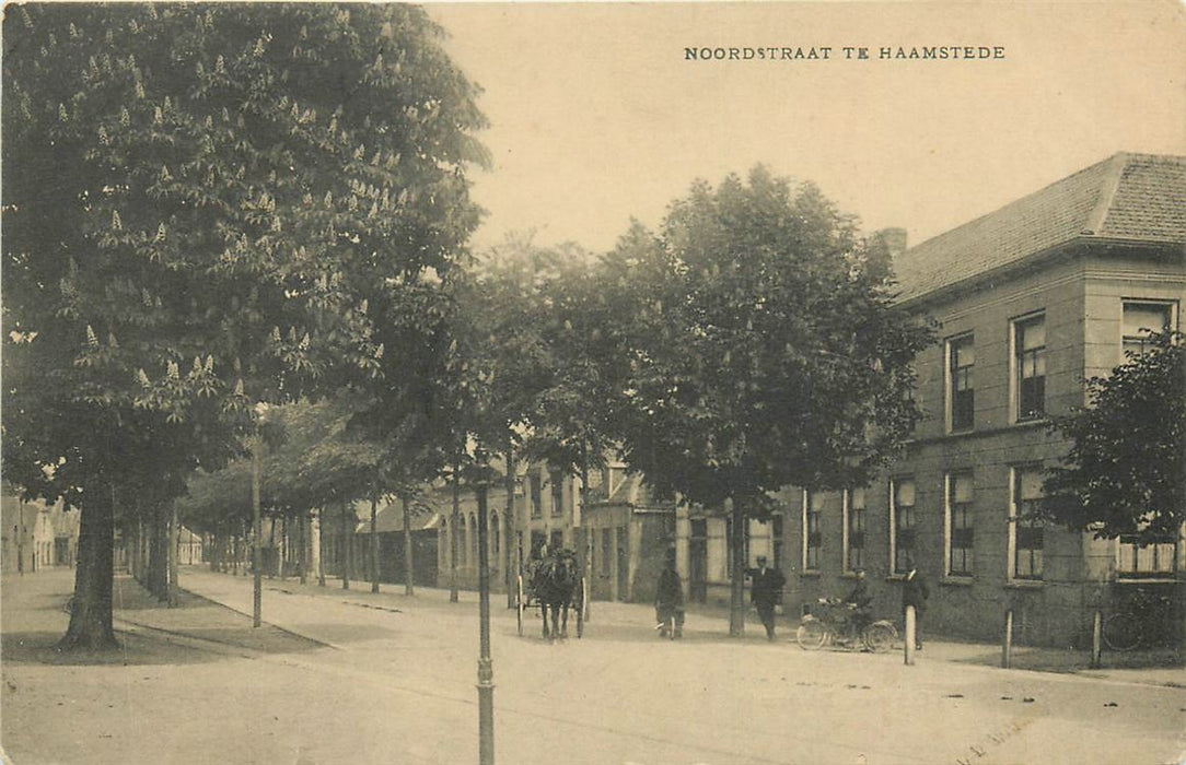 Burgh-Haamstede Noordstraat