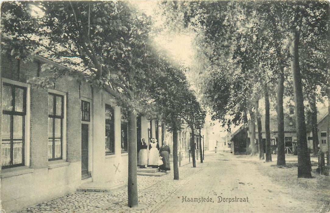 Burgh-Haamstede Dorpstraat