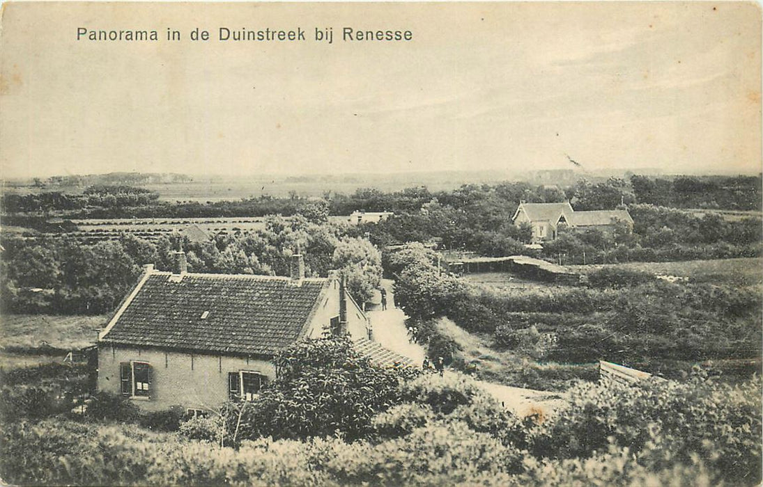 Renesse de Duinstreek