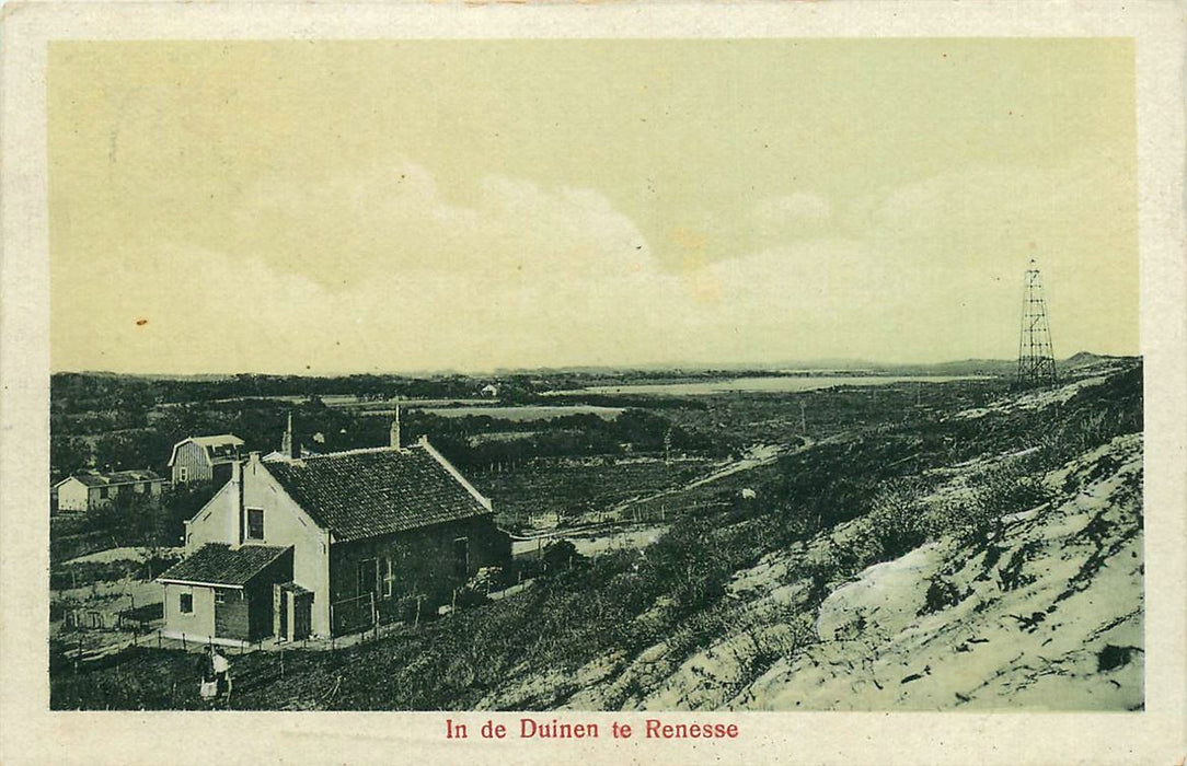 Renesse In de Duinen