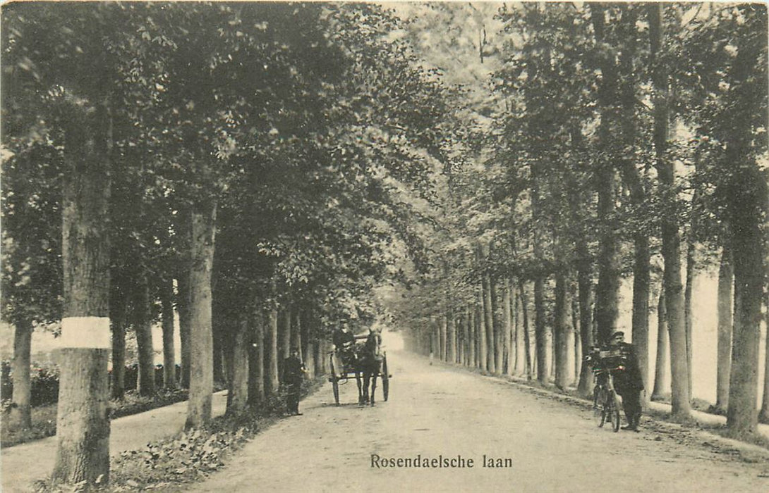 Rozendaal