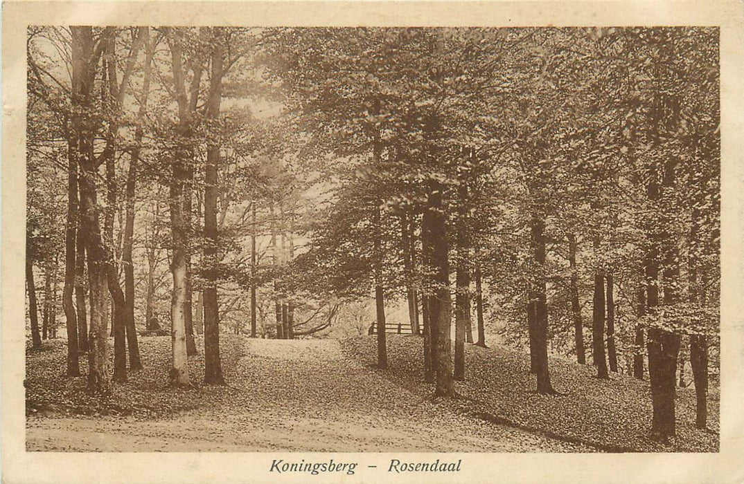 Rozendaal Koningsberg