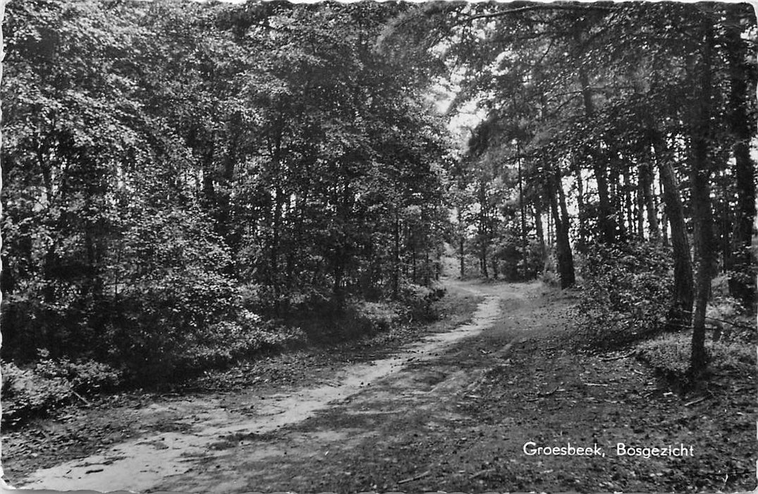 Groesbeek Bosgezicht