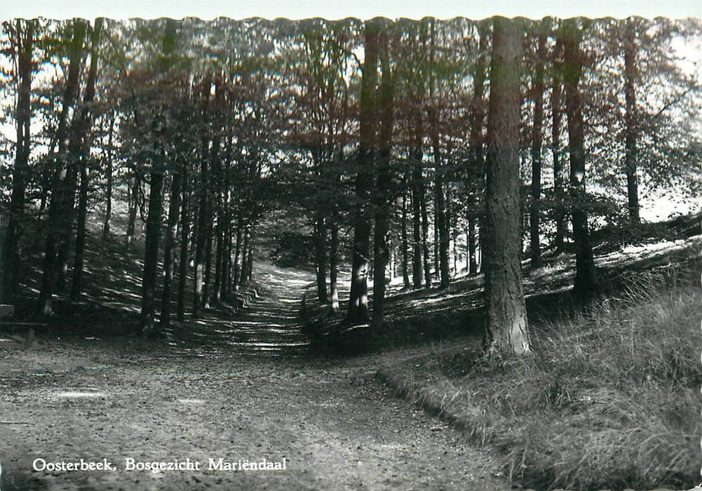 Oosterbeek Bosgezicht Mariendaal