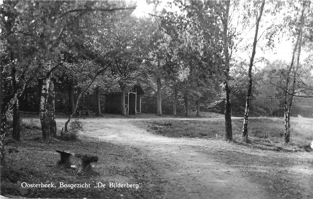 Oosterbeek Bosgezicht de Bilderberg