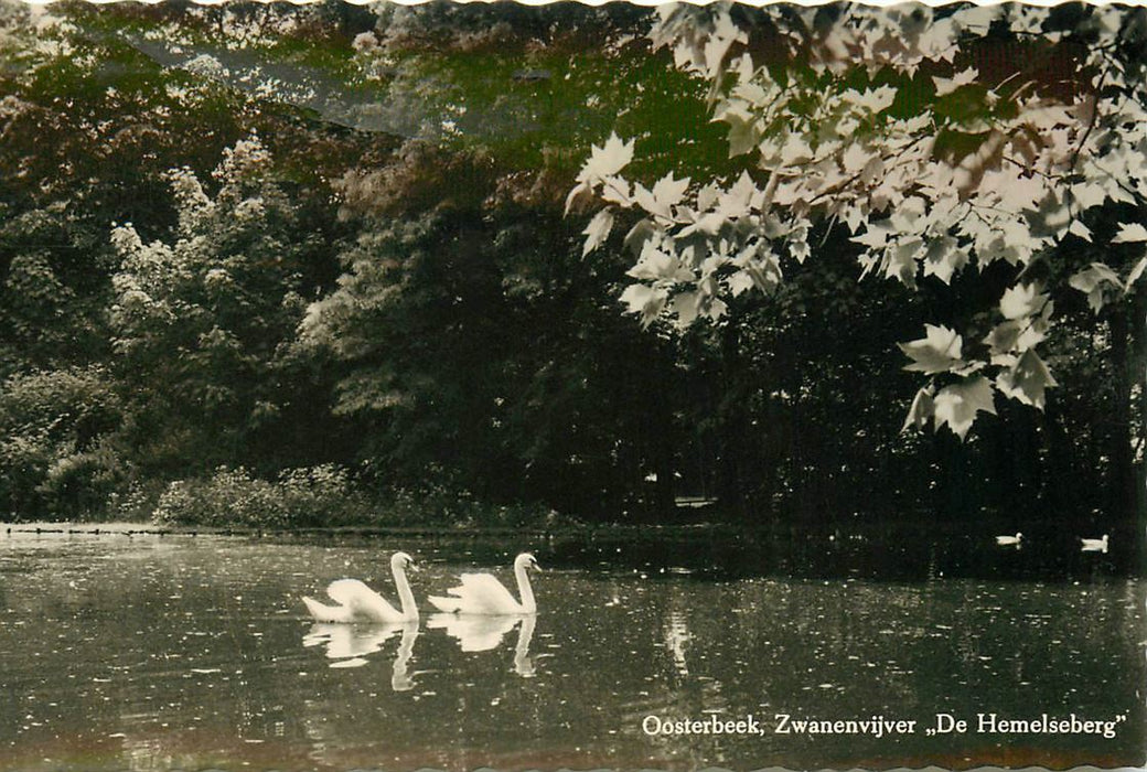 Oosterbeek Zwanenvijver De Hemelseberg