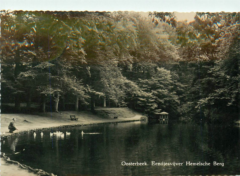 Oosterbeek Eendjesvijver Hemelsche Berg