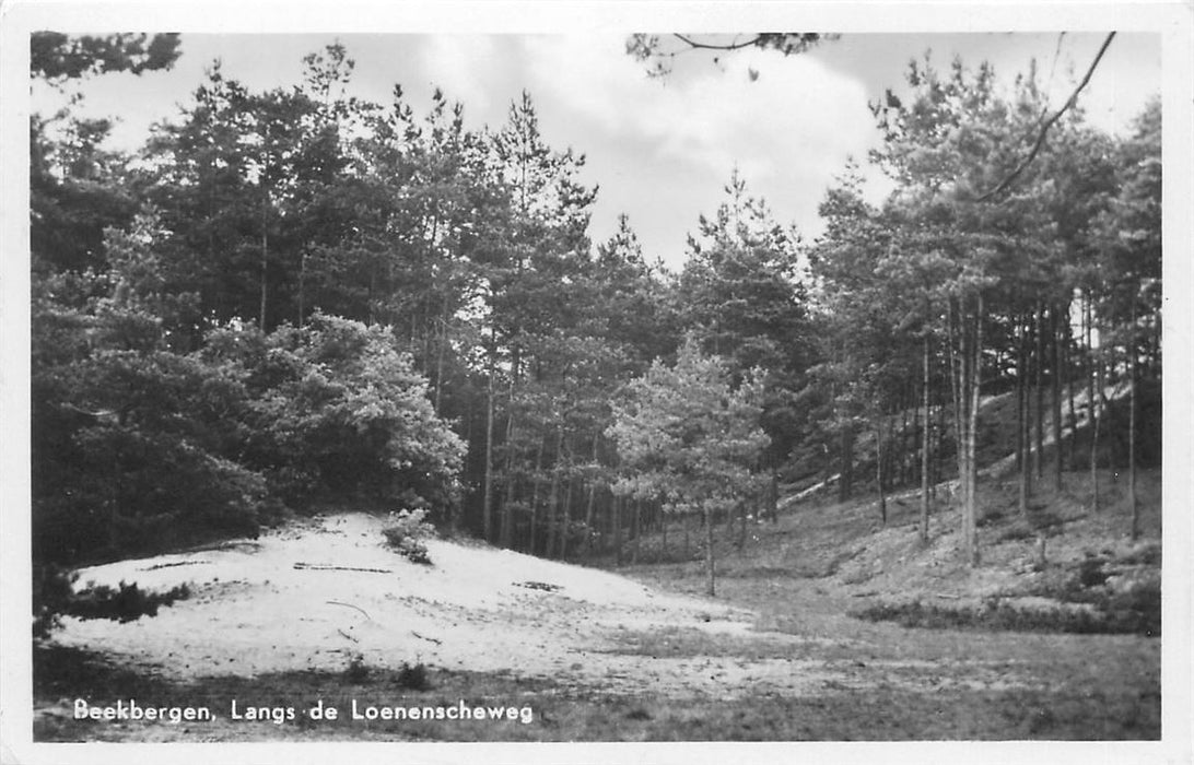 Beekbergen Langs de Loenenscheweg