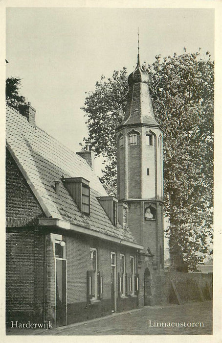 Harderwijk Linnaeustoren